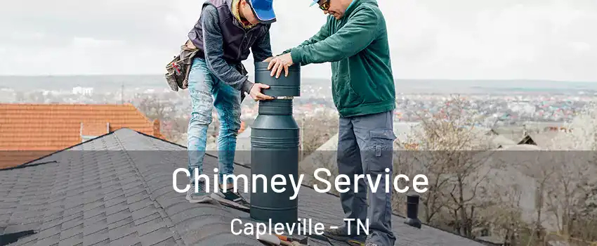 Chimney Service Capleville - TN