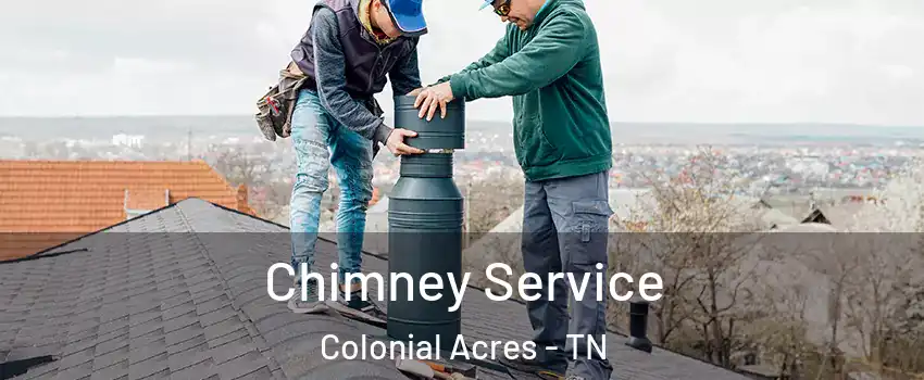 Chimney Service Colonial Acres - TN