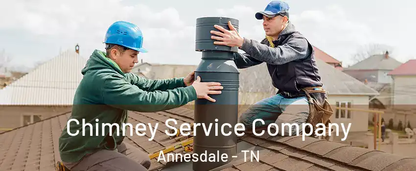 Chimney Service Company Annesdale - TN