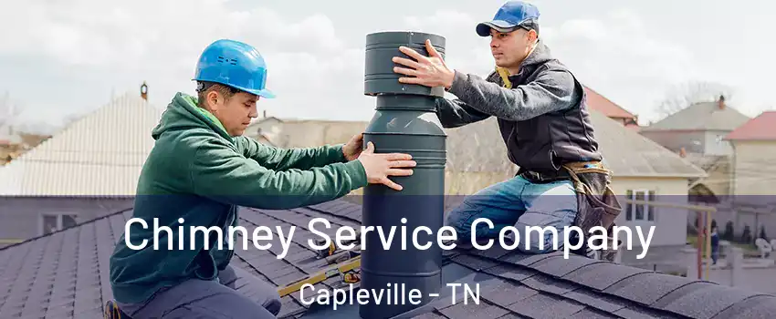 Chimney Service Company Capleville - TN