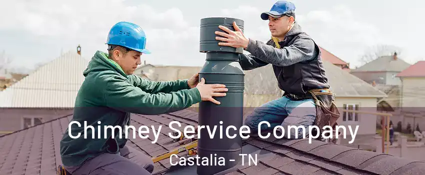 Chimney Service Company Castalia - TN