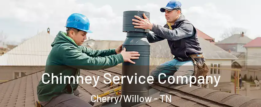 Chimney Service Company Cherry/Willow - TN