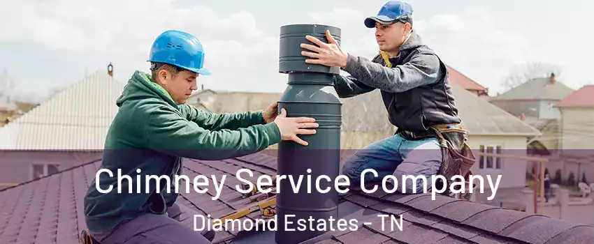 Chimney Service Company Diamond Estates - TN