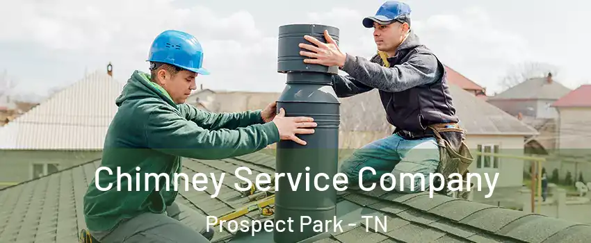 Chimney Service Company Prospect Park - TN