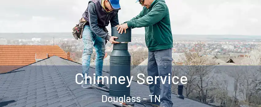 Chimney Service Douglass - TN