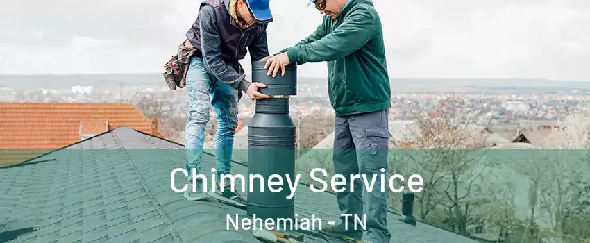 Chimney Service Nehemiah - TN