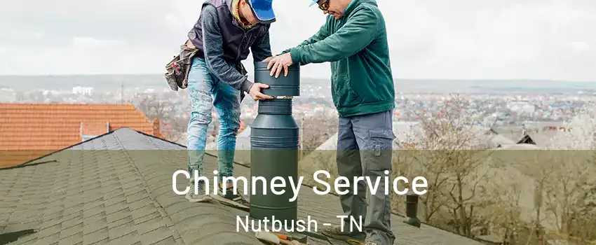 Chimney Service Nutbush - TN