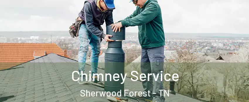 Chimney Service Sherwood Forest - TN