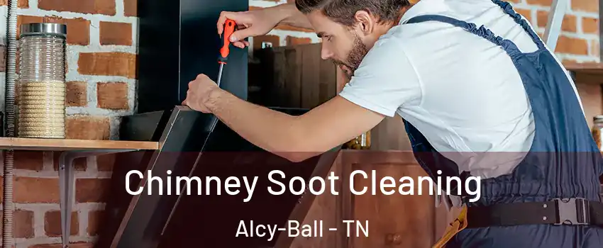 Chimney Soot Cleaning Alcy-Ball - TN