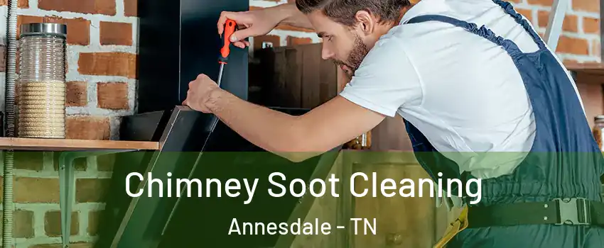 Chimney Soot Cleaning Annesdale - TN