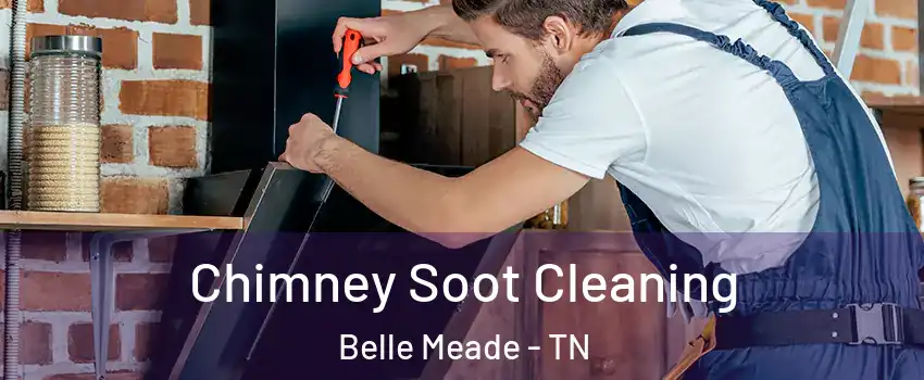 Chimney Soot Cleaning Belle Meade - TN