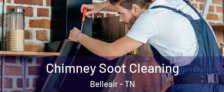 Chimney Soot Cleaning Belleair - TN