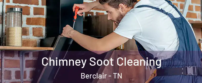 Chimney Soot Cleaning Berclair - TN