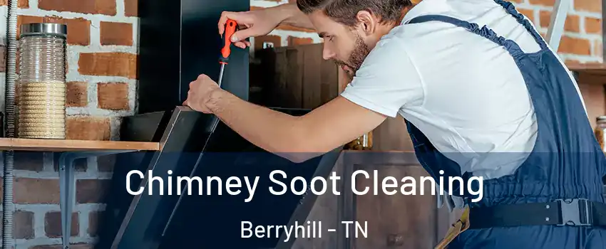 Chimney Soot Cleaning Berryhill - TN