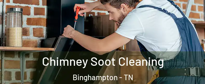 Chimney Soot Cleaning Binghampton - TN