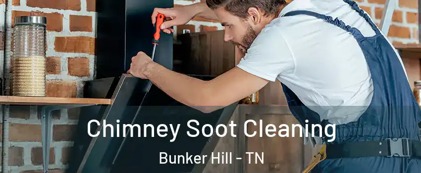 Chimney Soot Cleaning Bunker Hill - TN