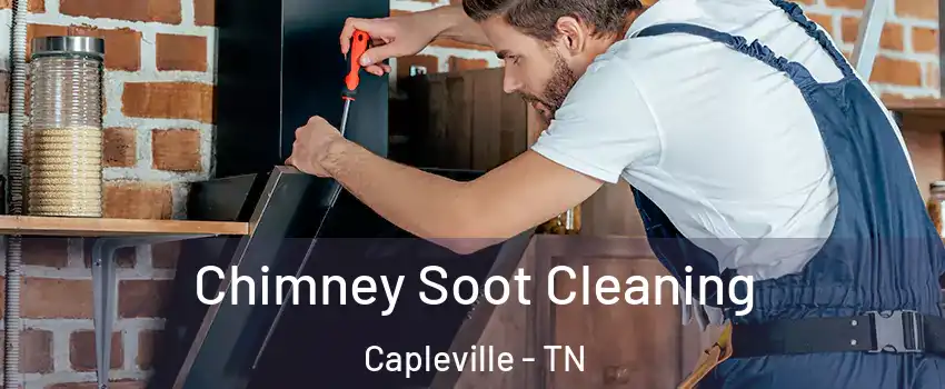 Chimney Soot Cleaning Capleville - TN