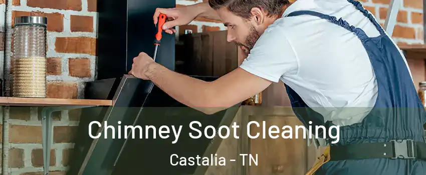 Chimney Soot Cleaning Castalia - TN