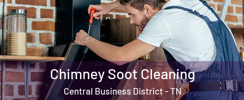 Chimney Soot Cleaning Central Business District - TN