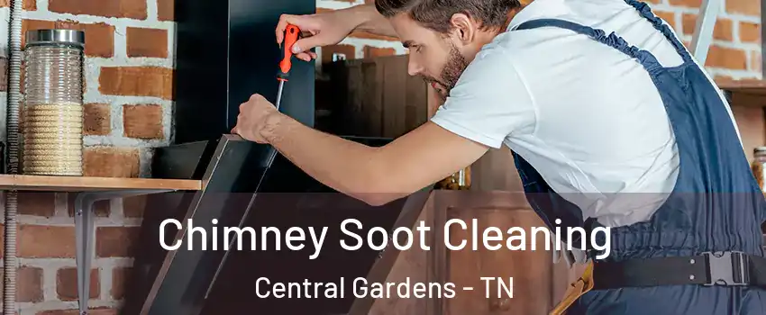 Chimney Soot Cleaning Central Gardens - TN