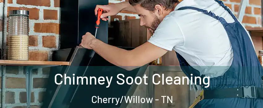 Chimney Soot Cleaning Cherry/Willow - TN