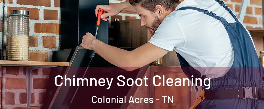 Chimney Soot Cleaning Colonial Acres - TN