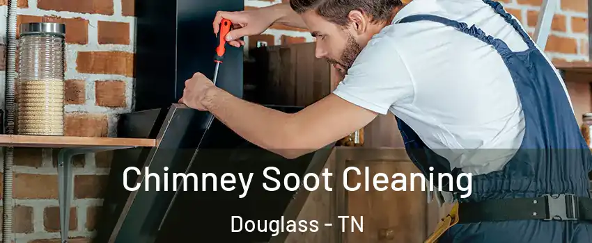 Chimney Soot Cleaning Douglass - TN