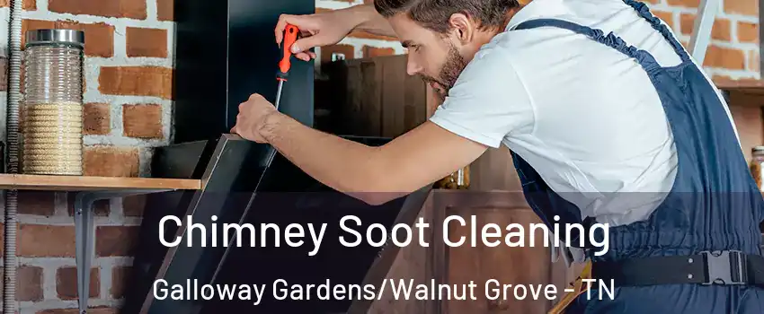 Chimney Soot Cleaning Galloway Gardens/Walnut Grove - TN