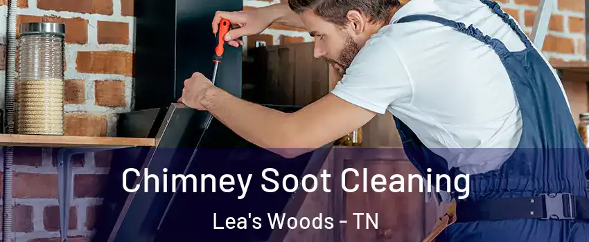 Chimney Soot Cleaning Lea's Woods - TN