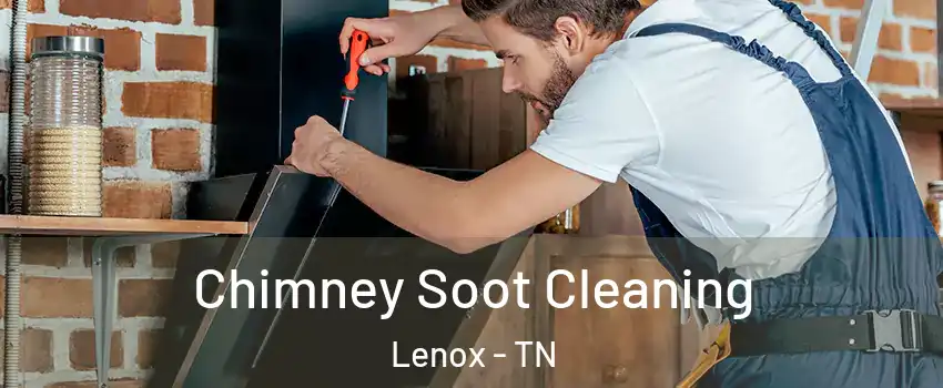 Chimney Soot Cleaning Lenox - TN