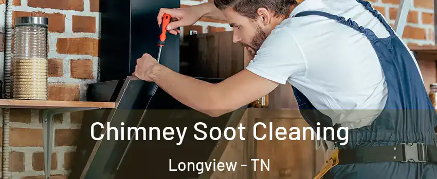 Chimney Soot Cleaning Longview - TN