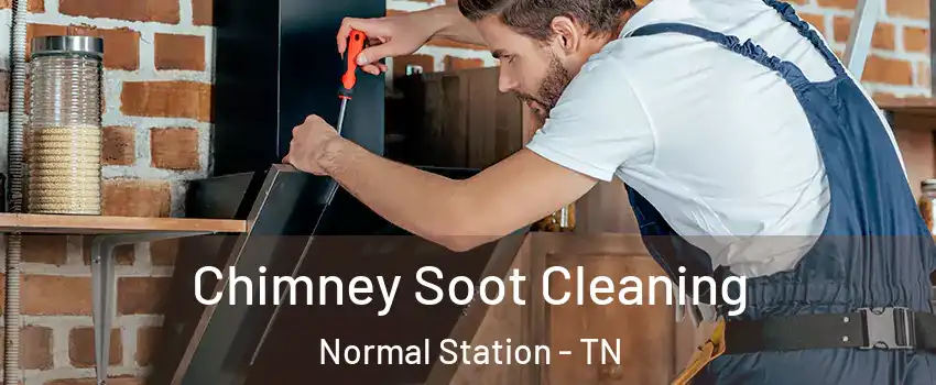 Chimney Soot Cleaning Normal Station - TN