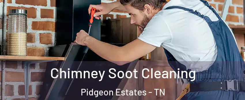 Chimney Soot Cleaning Pidgeon Estates - TN