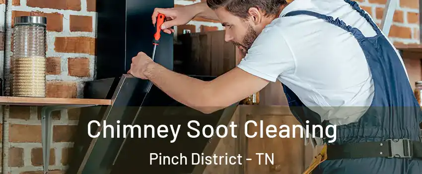 Chimney Soot Cleaning Pinch District - TN