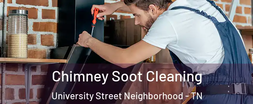 Chimney Soot Cleaning University Street Neighborhood - TN