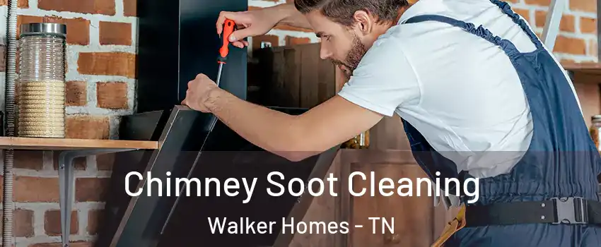 Chimney Soot Cleaning Walker Homes - TN