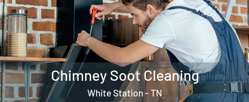 Chimney Soot Cleaning White Station - TN