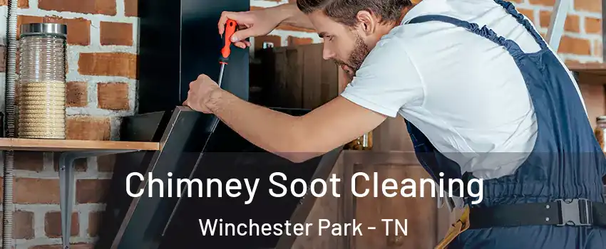 Chimney Soot Cleaning Winchester Park - TN