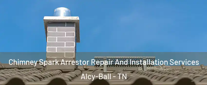 Chimney Spark Arrestor Repair And Installation Services Alcy-Ball - TN