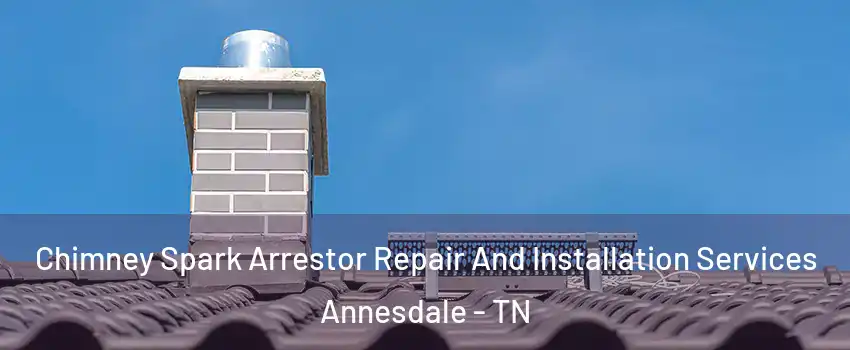 Chimney Spark Arrestor Repair And Installation Services Annesdale - TN