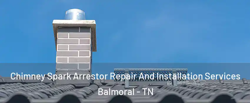 Chimney Spark Arrestor Repair And Installation Services Balmoral - TN