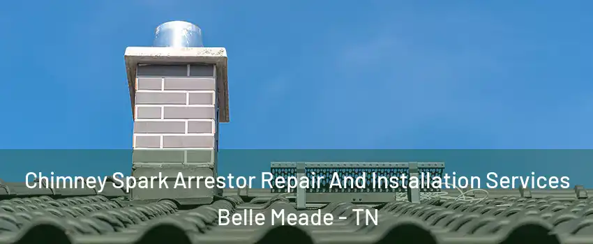 Chimney Spark Arrestor Repair And Installation Services Belle Meade - TN