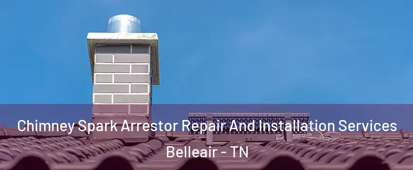 Chimney Spark Arrestor Repair And Installation Services Belleair - TN