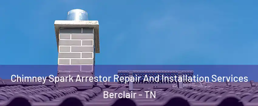 Chimney Spark Arrestor Repair And Installation Services Berclair - TN