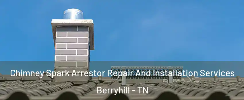 Chimney Spark Arrestor Repair And Installation Services Berryhill - TN