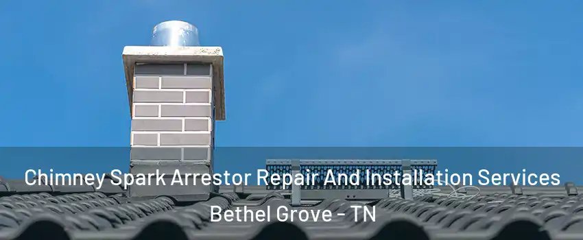 Chimney Spark Arrestor Repair And Installation Services Bethel Grove - TN