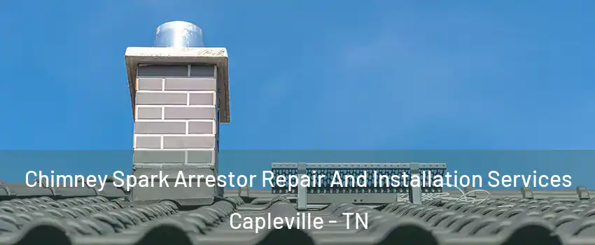 Chimney Spark Arrestor Repair And Installation Services Capleville - TN