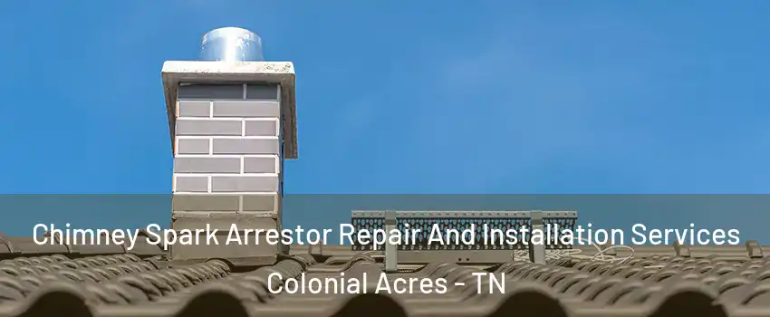 Chimney Spark Arrestor Repair And Installation Services Colonial Acres - TN