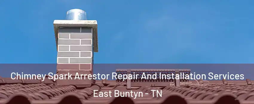 Chimney Spark Arrestor Repair And Installation Services East Buntyn - TN