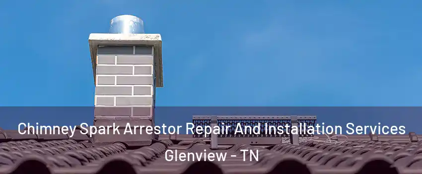 Chimney Spark Arrestor Repair And Installation Services Glenview - TN